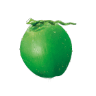 coconut