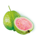 pink guava