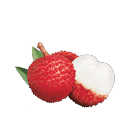lychee
